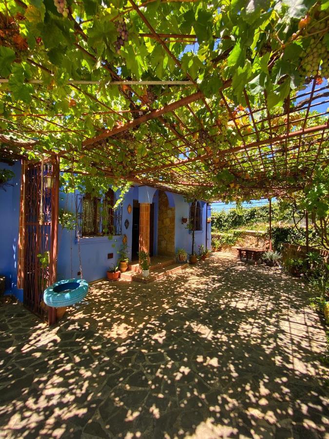 Villa Authentique Avec Vue Panoramique A 3 Km De シェフシャウエン エクステリア 写真
